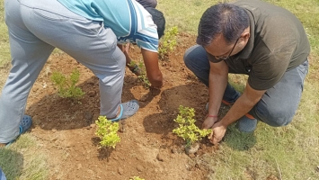 World Environment Day (05/06/2025)